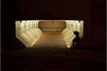 Load image into Gallery viewer, FALLEN ANGEL